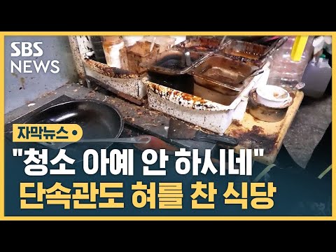 "청소 아예 안하시네"…단속관도 혀를 찬 주방 상태 (자막뉴스) / SBS