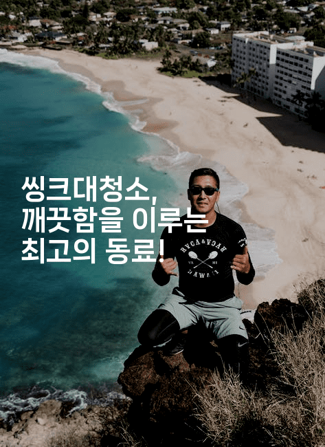 씽크대청소, 깨끗함을 이루는 최고의 동료!