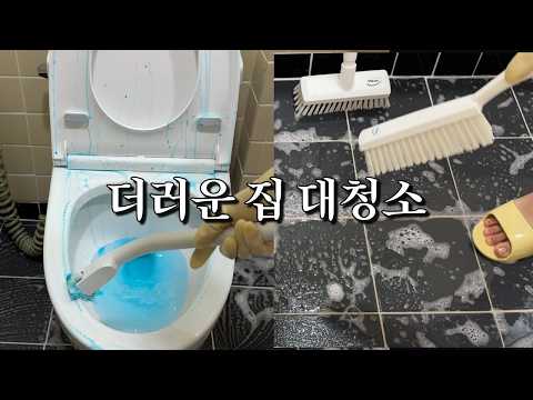 손님맞이 현실적인 청소 루틴 | 주방청소, 화장실청소, 청소용품 추천 Clean with me