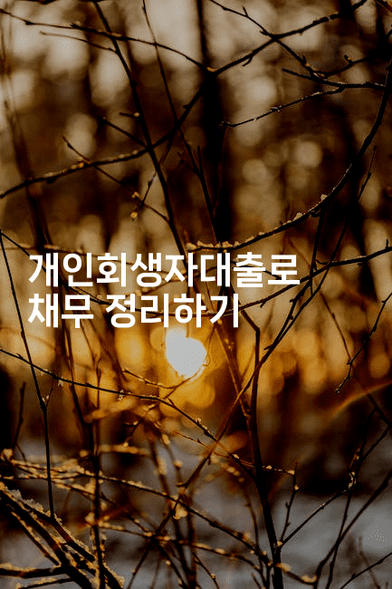 개인회생자대출로 채무 정리하기-해피팁