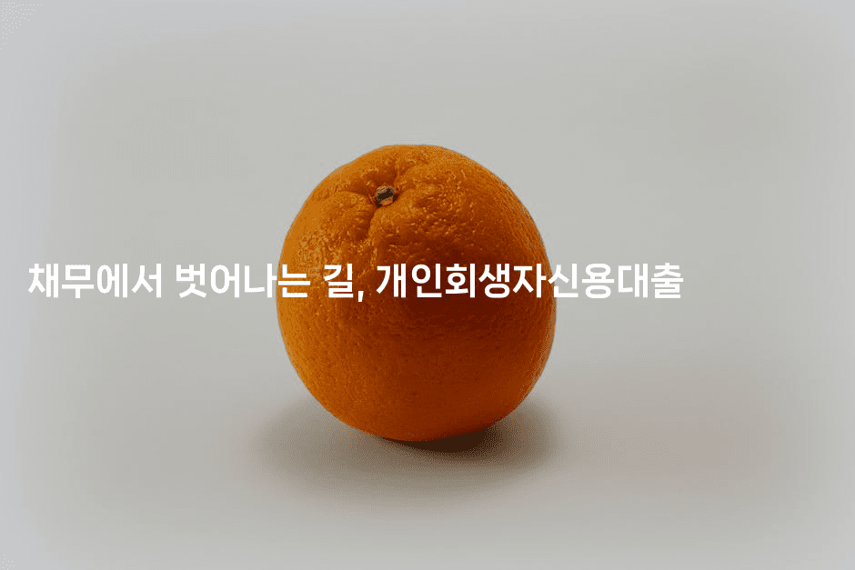 채무에서 벗어나는 길, 개인회생자신용대출-해피팁