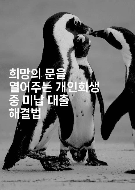 희망의 문을 열어주는 개인회생 중 미납 대출 해결법-해피팁