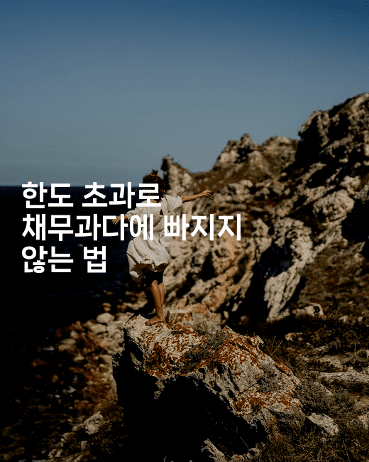 한도 초과로 채무과다에 빠지지 않는 법-해피팁