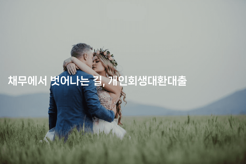 채무에서 벗어나는 길, 개인회생대환대출-해피팁